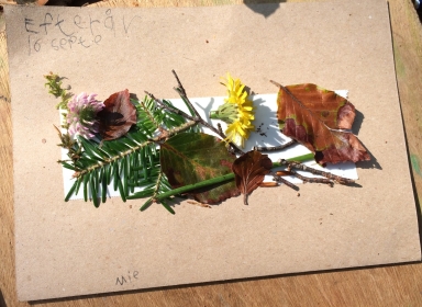 Foto af blade, grene og blomster