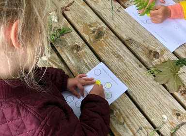 Børn farver med naturens farver