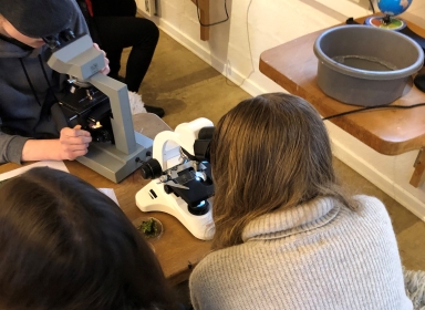 Foto af børn der kigger i mikroskop