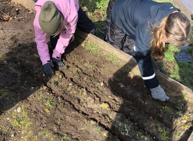 Foto af børn, der planter