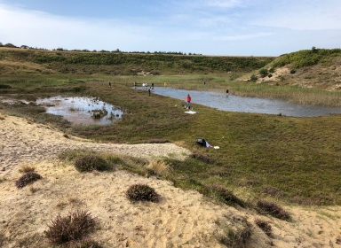 Landskabet omkring Myrthue