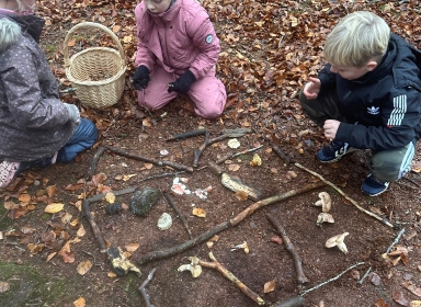 Foto af børn, der sorterer svampe