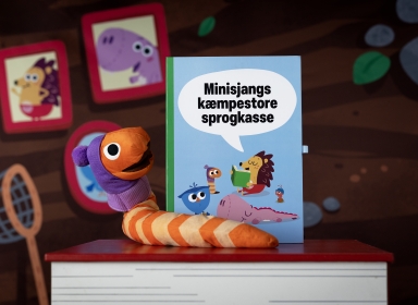 Billede af sprogkassen