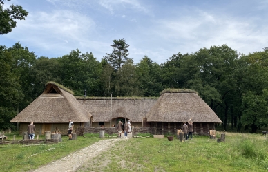 Foto af Guldager Jernalderlandsby