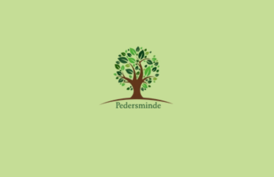 Billede