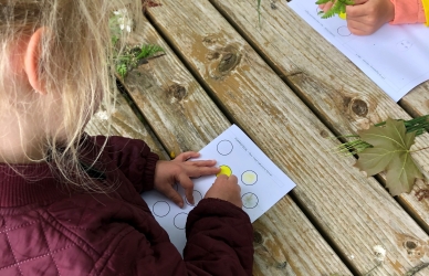 Børn farver med naturens farver