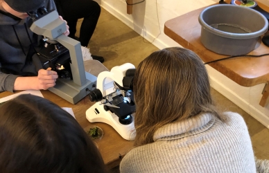 Foto af børn der kigger i mikroskop