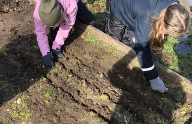 Foto af børn, der planter