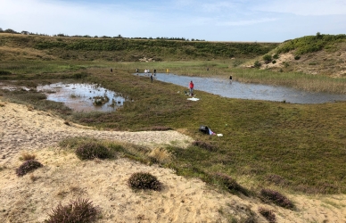Landskabet omkring Myrthue