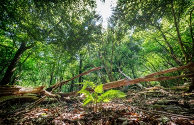 Foto: Esbjerg Kommune.