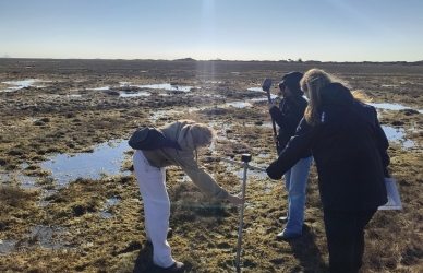 Foto af elever, der laver feltundersøgelser på Skallingen